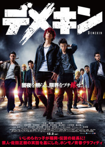 DEMEKIN (2017)