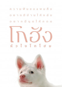 โกฮัง..หัวใจโกโฮม สุนัขชื่อ “โกฮัง” ที่เดินทางผ่านชีวิตหลายช่วงเวลา พร้อมเจ้าของหลายคนแต่ละคนต่างเติมเต็มความรักและความอบอุ่นในแบบของตนเอง