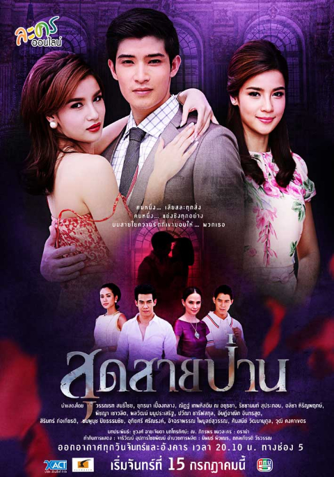 สุดสายป่าน