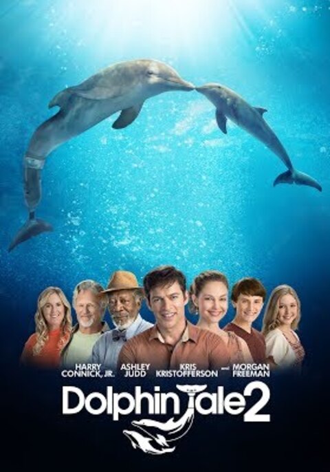 Dolphin Tale 2 (2014) มหัศจรรย์โลมาหัวใจนักสู้