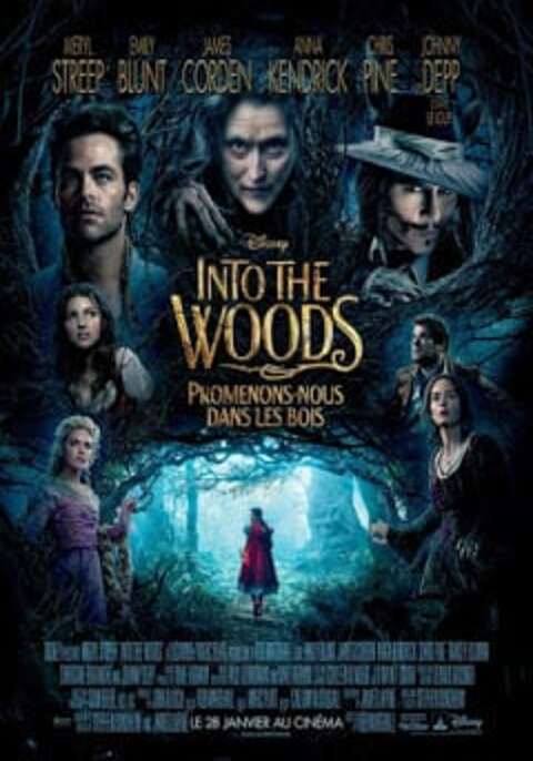 Into the Woods (2014) อินทู เดอะ วู้ด