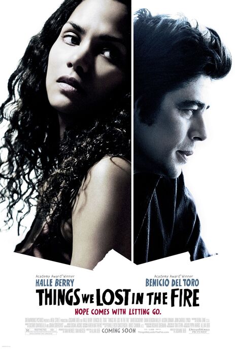 THINGS WE LOST IN THE FIRE (2007)