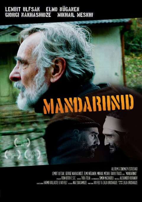 Tangerines (2013)