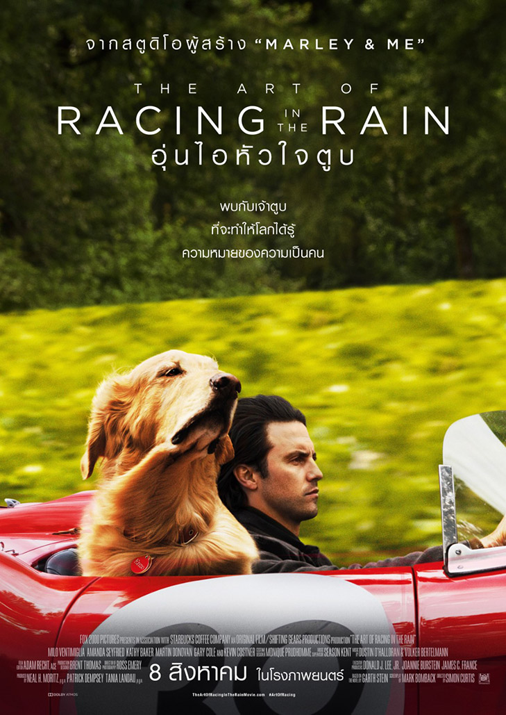 The Art of Racing in the Rain