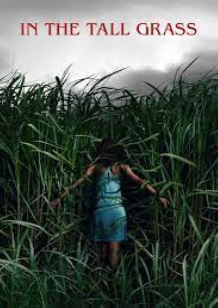 In the Tall Grass (2019) พงหลอนมรณะ