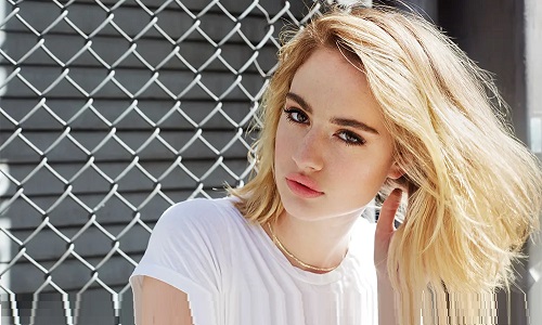 EZ Movie ดูหนังฟรี ไม่มีโฆษณา ไอคอน สมัครสมาชิกสำเร็จ