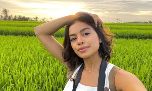 EZ Movie ดูหนังฟรี ไม่มีโฆษณา ไอคอน สมัครสมาชิกสำเร็จ