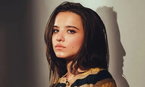 EZ Movie ดูหนังฟรี ไม่มีโฆษณา ไอคอน สมัครสมาชิกสำเร็จ